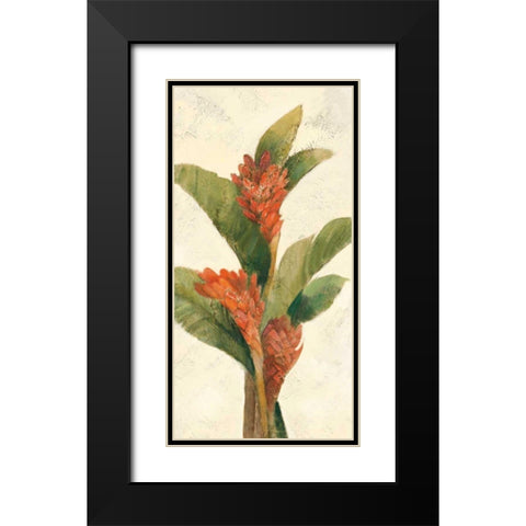 Ginger Blossom on White Black Modern Wood Framed Art Print with Double Matting by Hristova, Albena