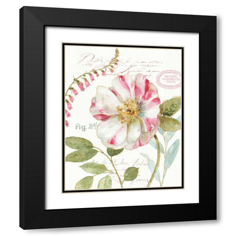 Rainbow Seeds Botanical II Black Modern Wood Framed Art Print with Double Matting by Audit, Lisa