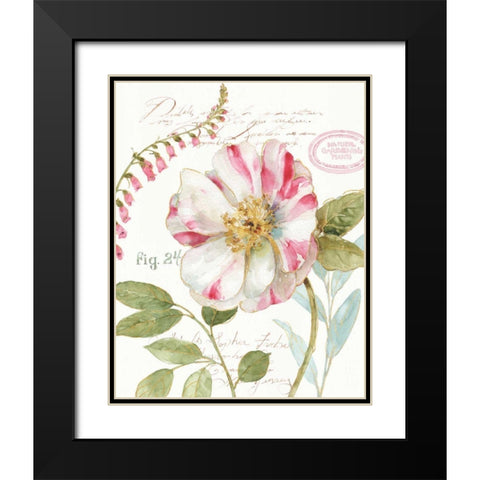 Rainbow Seeds Botanical II Black Modern Wood Framed Art Print with Double Matting by Audit, Lisa