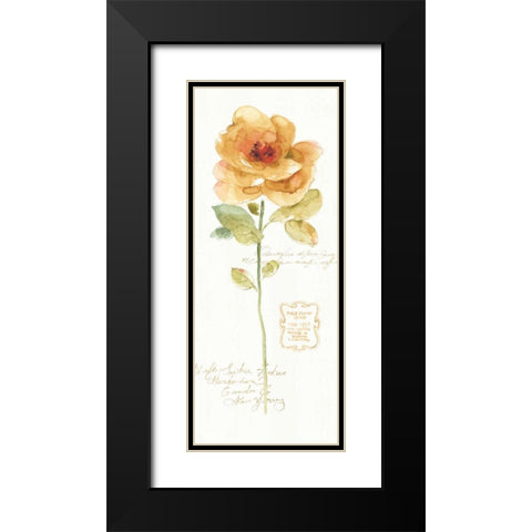 Rainbow Seeds Loose Floral III Black Modern Wood Framed Art Print with Double Matting by Audit, Lisa