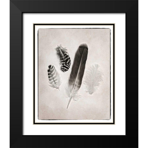 Feather Group I BW Black Modern Wood Framed Art Print with Double Matting by Van Swearingen, Debra