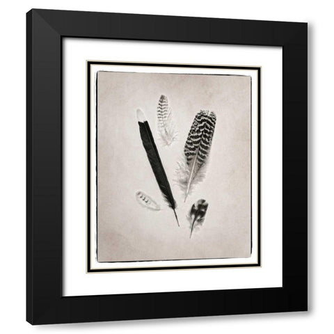 Feather Group II BW Black Modern Wood Framed Art Print with Double Matting by Van Swearingen, Debra
