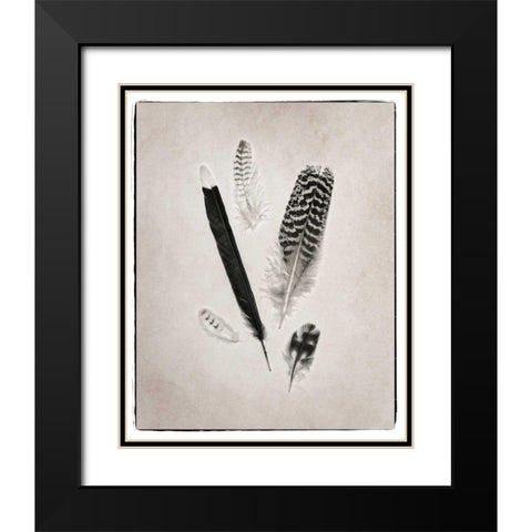 Feather Group II BW Black Modern Wood Framed Art Print with Double Matting by Van Swearingen, Debra