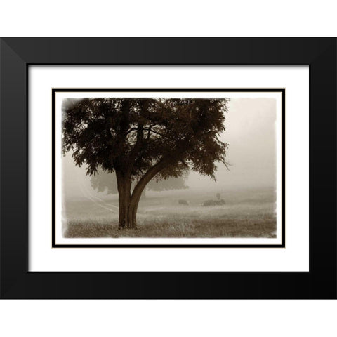 Calm Mist no Limb Black Modern Wood Framed Art Print with Double Matting by Van Swearingen, Debra