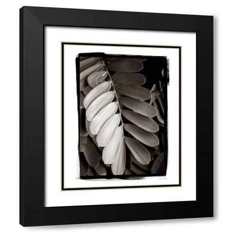 Tropical Plant I Black Modern Wood Framed Art Print with Double Matting by Debra, Van Swearingen