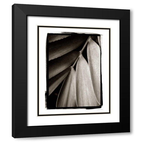 Tropical Plant II Black Modern Wood Framed Art Print with Double Matting by Debra, Van Swearingen