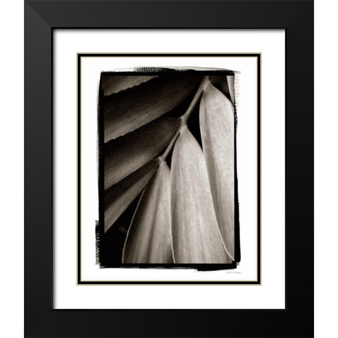 Tropical Plant II Black Modern Wood Framed Art Print with Double Matting by Debra, Van Swearingen