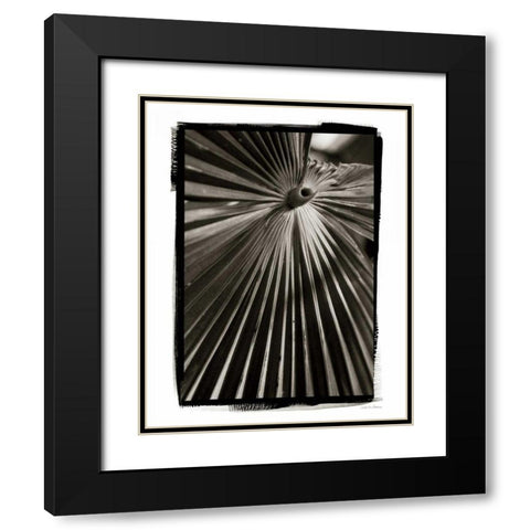 Palm Frond I Black Modern Wood Framed Art Print with Double Matting by Debra, Van Swearingen