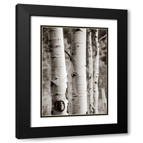 Aspens I Black Modern Wood Framed Art Print with Double Matting by Van Swearingen, Debra