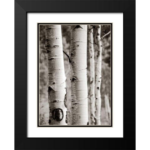 Aspens I Black Modern Wood Framed Art Print with Double Matting by Van Swearingen, Debra