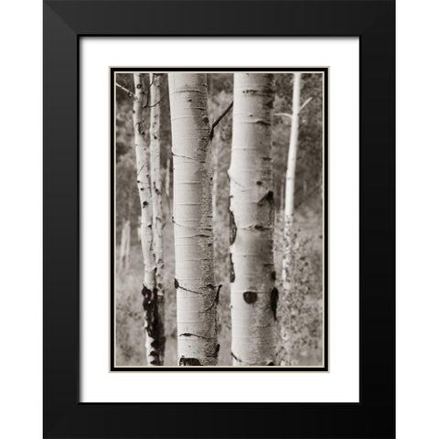 Aspens II Black Modern Wood Framed Art Print with Double Matting by Van Swearingen, Debra