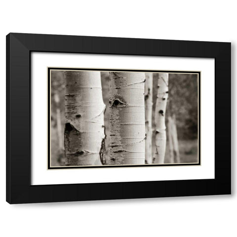 Aspens III Black Modern Wood Framed Art Print with Double Matting by Van Swearingen, Debra