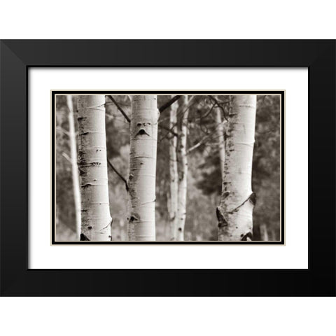 Aspens  IV Black Modern Wood Framed Art Print with Double Matting by Van Swearingen, Debra