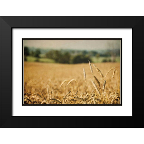 Blissful Country I Black Modern Wood Framed Art Print with Double Matting by Urquhart, Elizabeth