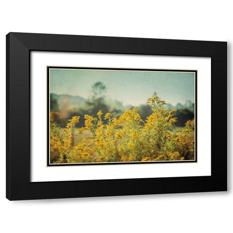 Blissful Country IV Black Modern Wood Framed Art Print with Double Matting by Urquhart, Elizabeth