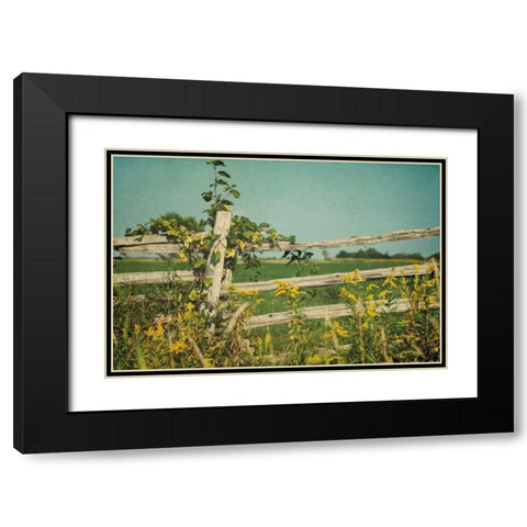 Blissful Country V Black Modern Wood Framed Art Print with Double Matting by Urquhart, Elizabeth