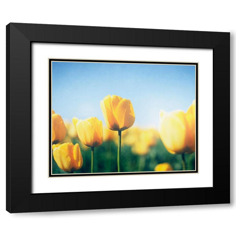Sunny Blooms III Black Modern Wood Framed Art Print with Double Matting by Urquhart, Elizabeth