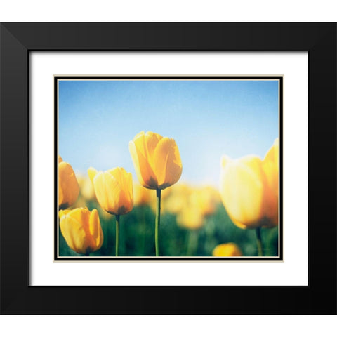 Sunny Blooms III Black Modern Wood Framed Art Print with Double Matting by Urquhart, Elizabeth