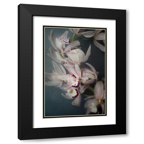 Dark Orchid I Black Modern Wood Framed Art Print with Double Matting by Urquhart, Elizabeth