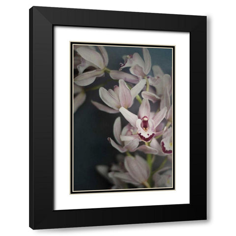 Dark Orchid II Black Modern Wood Framed Art Print with Double Matting by Urquhart, Elizabeth