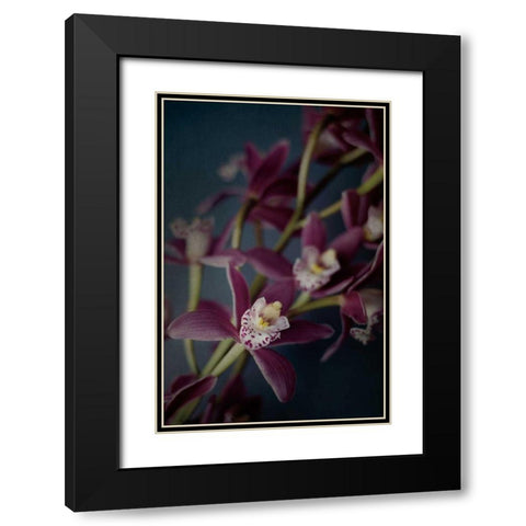 Dark Orchid III Black Modern Wood Framed Art Print with Double Matting by Urquhart, Elizabeth