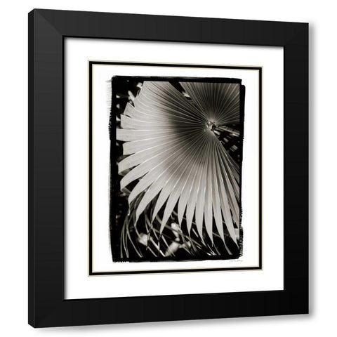 Palm Frond II v2 Black Modern Wood Framed Art Print with Double Matting by Debra, Van Swearingen