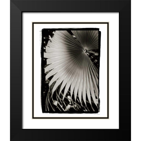 Palm Frond II v2 Black Modern Wood Framed Art Print with Double Matting by Debra, Van Swearingen