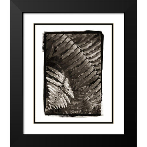 Fern I v2 Black Modern Wood Framed Art Print with Double Matting by Van Swearingen, Debra