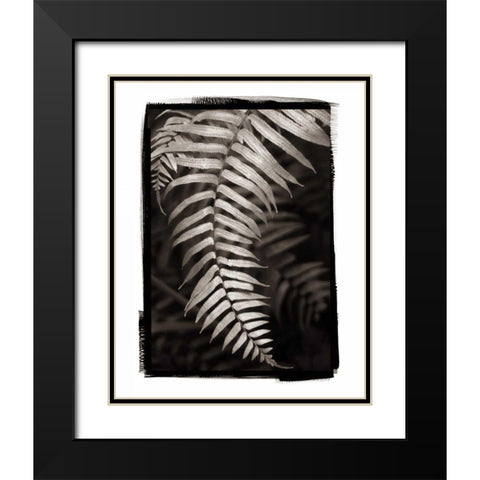 Fern II v2 Black Modern Wood Framed Art Print with Double Matting by Van Swearingen, Debra