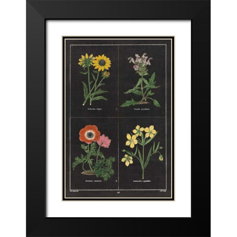 Botanical on Black Chart II Black Modern Wood Framed Art Print with Double Matting by Wild Apple Portfolio
