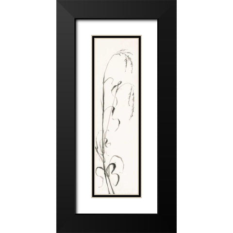 Gray Grasses III Black Modern Wood Framed Art Print with Double Matting by Paschke, Chris
