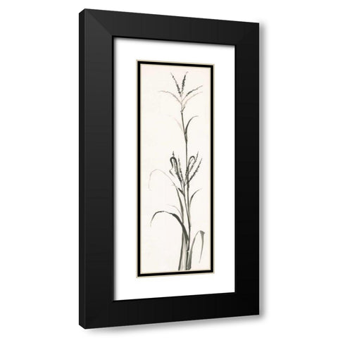 Gray Grasses IV Black Modern Wood Framed Art Print with Double Matting by Paschke, Chris