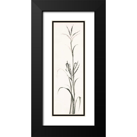 Gray Grasses IV Black Modern Wood Framed Art Print with Double Matting by Paschke, Chris
