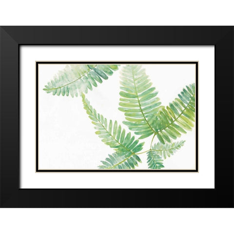 Ferns II Black Modern Wood Framed Art Print with Double Matting by Paschke, Chris