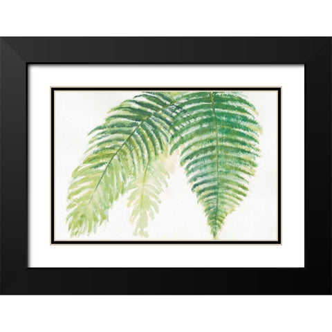 Ferns III Black Modern Wood Framed Art Print with Double Matting by Paschke, Chris