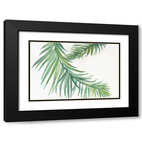Ferns IV Black Modern Wood Framed Art Print with Double Matting by Paschke, Chris