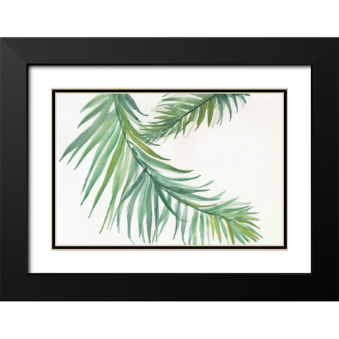 Ferns IV Black Modern Wood Framed Art Print with Double Matting by Paschke, Chris