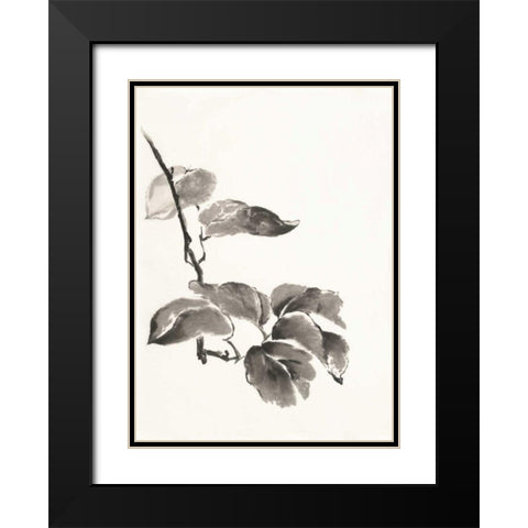 Sumi Kiwi Black Modern Wood Framed Art Print with Double Matting by Paschke, Chris