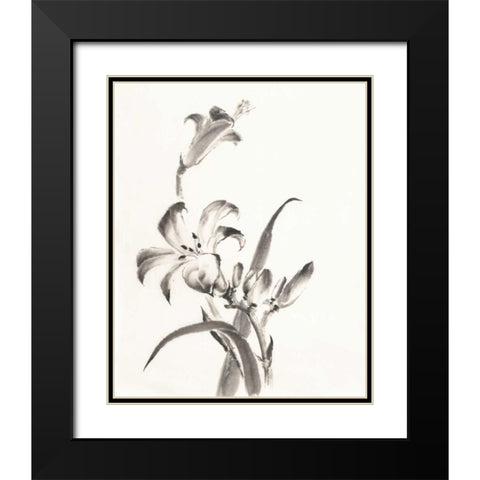 Sumi Daylily II Black Modern Wood Framed Art Print with Double Matting by Paschke, Chris