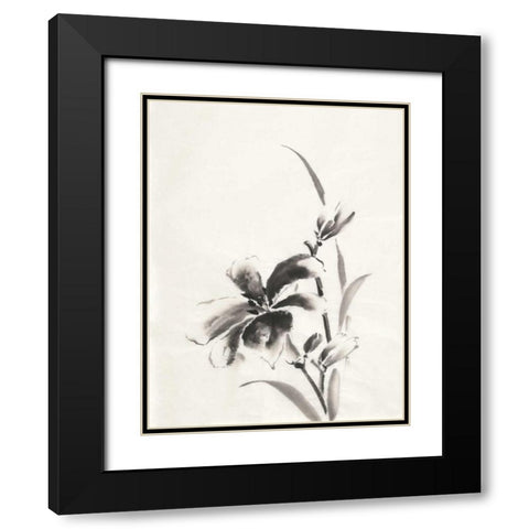Sumi Daylily IV Black Modern Wood Framed Art Print with Double Matting by Paschke, Chris