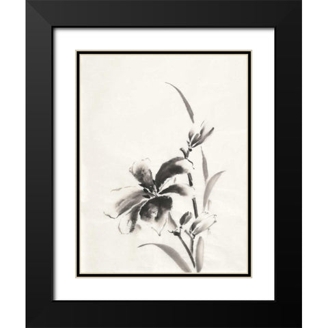Sumi Daylily IV Black Modern Wood Framed Art Print with Double Matting by Paschke, Chris