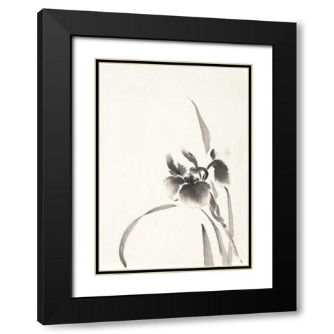Japanese Iris I Black Modern Wood Framed Art Print with Double Matting by Paschke, Chris