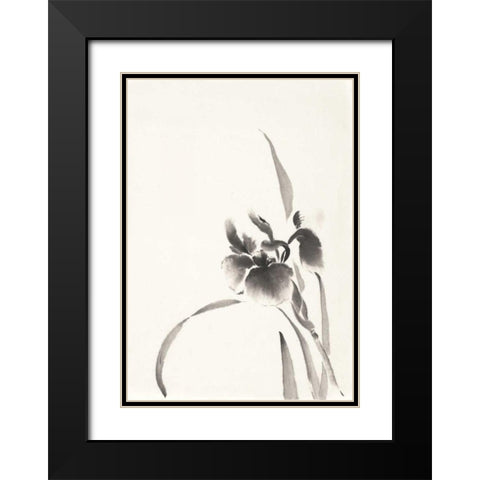 Japanese Iris I Black Modern Wood Framed Art Print with Double Matting by Paschke, Chris