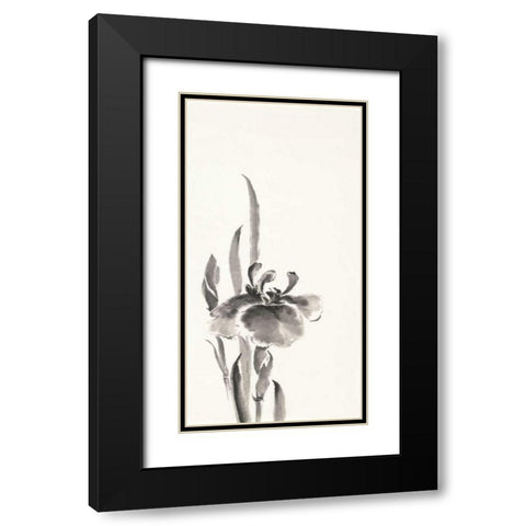 Japanese Iris II Black Modern Wood Framed Art Print with Double Matting by Paschke, Chris