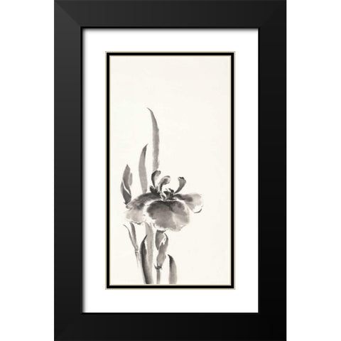 Japanese Iris II Black Modern Wood Framed Art Print with Double Matting by Paschke, Chris