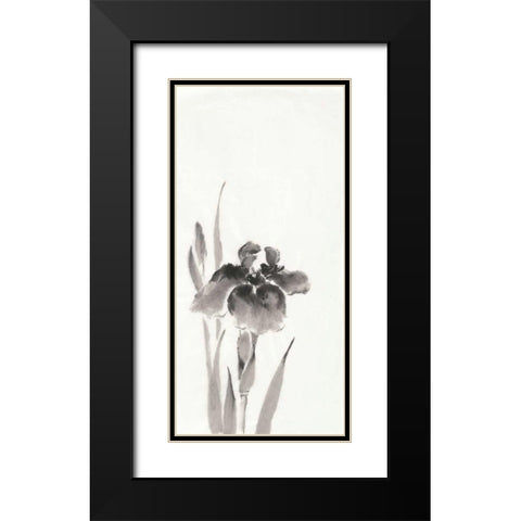 Japanese Iris III Black Modern Wood Framed Art Print with Double Matting by Paschke, Chris