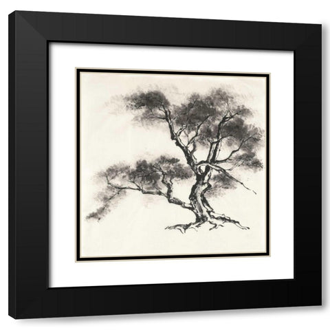 Sumi Tree II Black Modern Wood Framed Art Print with Double Matting by Paschke, Chris