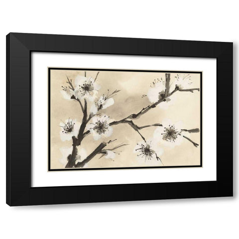 Spring Blossoms II Crop Black Modern Wood Framed Art Print with Double Matting by Paschke, Chris