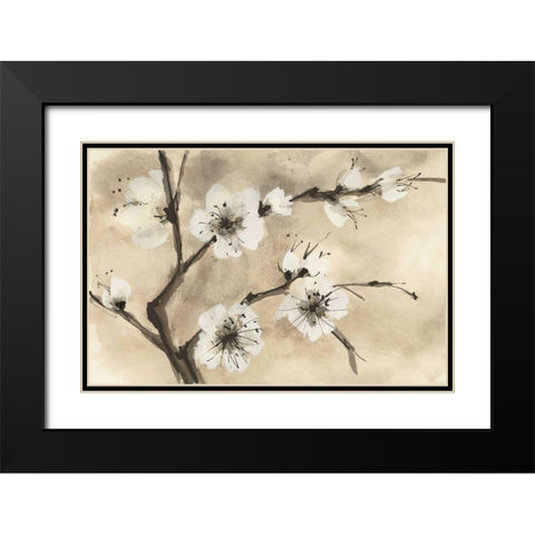 Spring Blossoms IV Black Modern Wood Framed Art Print with Double Matting by Paschke, Chris