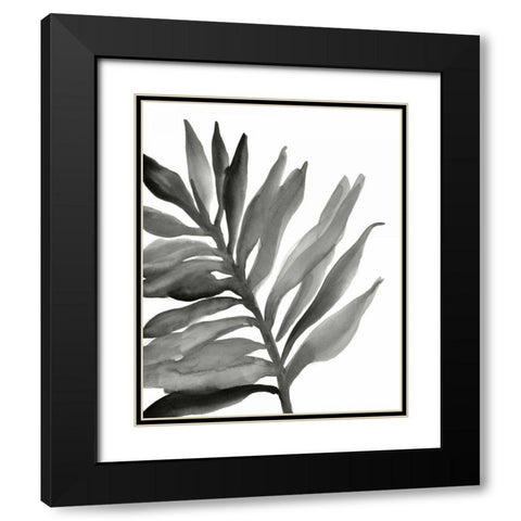 Tropical Palm III BW Black Modern Wood Framed Art Print with Double Matting by Paschke, Chris